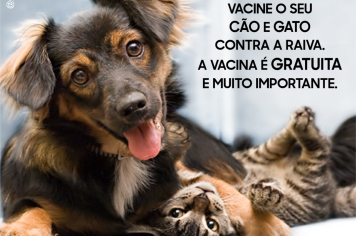 Campanha Antirábica animal 2025